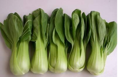 瓢兒白有哪些類型與品種 它曾是重慶及南方地區普遍栽培的蔬菜