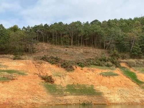 持續(xù)開展巡湖工作,共護(hù)綠水青山