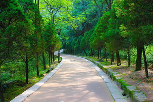 回望華山,五峰盡觀 華山詳細(xì)攻略分享,相信我,進(jìn)來(lái)看看 ,華山自助游攻略