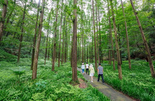 經(jīng)濟(jì)效益