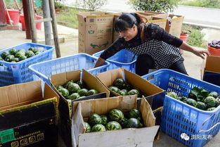 全國媒體湖南行聚焦瀏陽 縣域經(jīng)濟(jì)強(qiáng)縣的 扶貧經(jīng)