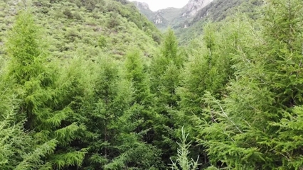 密云區榮獲2021年&ldquo;中國天然氧吧&rdquo;稱號