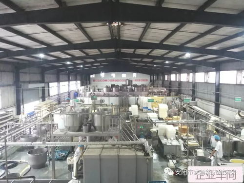 高登志的夢(mèng),只為安陽(yáng)百姓吃上放心豆腐