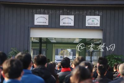 鄖陽香菇再添三張&ldquo;國"字招牌,出口貿(mào)易開啟新征程!