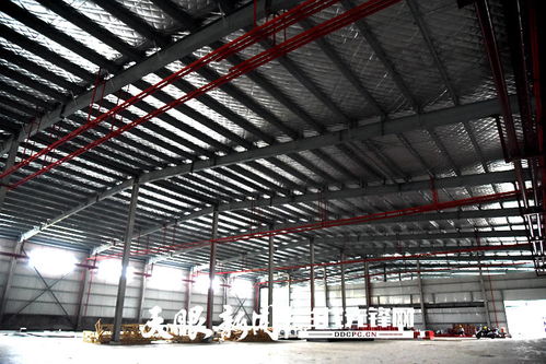 晴隆縣騰龍嶺食用菌工廠及農(nóng)產(chǎn)品冷鏈物流中心建設(shè)忙