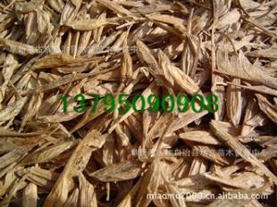 糖槭種子,林木種子.造林種子.種子市場(chǎng)行情_農(nóng)副產(chǎn)品_世界工廠網(wǎng)