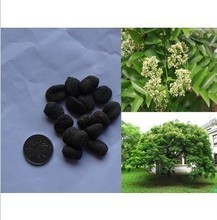 【東京木】最新最全東京木 產(chǎn)品參考信息