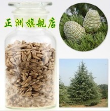 【印度種子】最新最全印度種子 產(chǎn)品參考信息