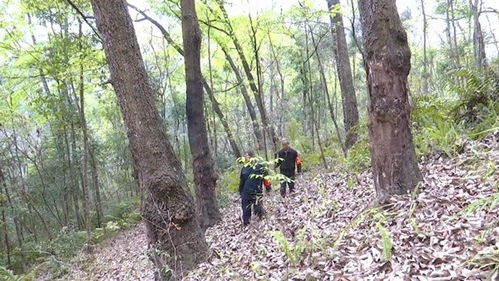 貴州望謨 加強林木種質資源保護 奏響生態文明奮進樂章