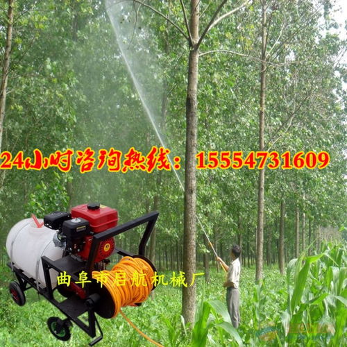 小型手推式打藥機 園林消毒機 農(nóng)田果樹專用打藥機價格