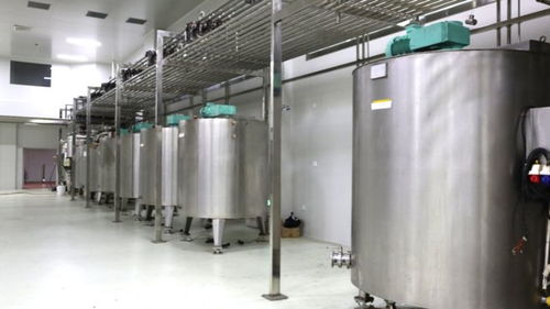 彭州竟 藏著 家巧克力工廠,產(chǎn)品遠銷海外,連空氣都是甜的