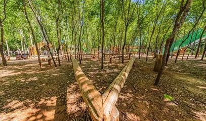 關于科學利用林地資源促進木本糧油和林下經(jīng)濟高質量發(fā)展的意見 林草生態(tài)匯