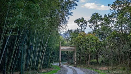 五一 趣 哪玩 五個(gè)一 百花大會(huì)帶你玩轉(zhuǎn)富陽